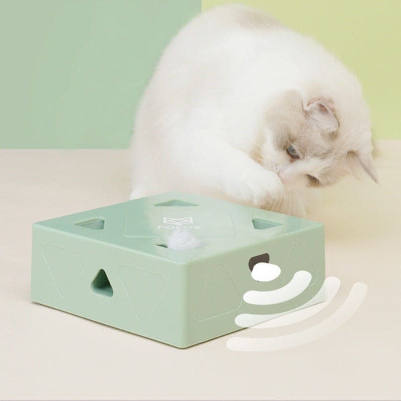 Interactive toy mouse catcher box for cat | Orderkeen