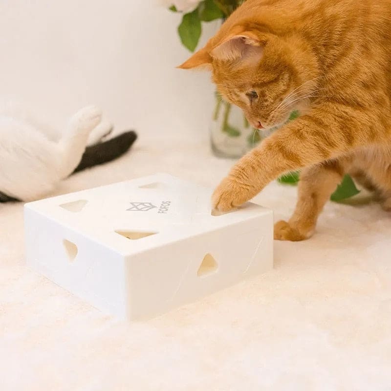 Interactive toy mouse catcher box for cat | Orderkeen
