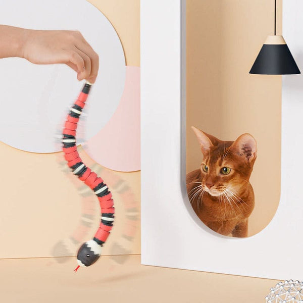 Smart Induction Snake Toy, Cat Toy, Cat Electronic Interactive Toy, Usb charge accessoire de chat pour animaux de compagnie Smart Induction Snake Toy, Cat Toy, Cat Electronic Interactive Toy, Usb charge accessoire de chat pour animaux de compagnie