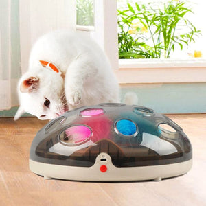 Jouet interactif magnétique à plumes pour chat FLYSKAT™ jouet chat, virevoltantes souris, jouets, 