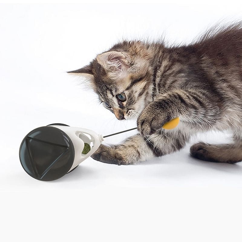 Jouet interactif pour chat à système rotatif 360° | Orderkeen