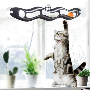 Jouet interactif ventouses rail avec balles pour chat RAILKAT™ balle chat, jouet ventouse jouets 