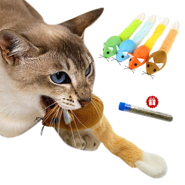 Jouet souris herbe à chat MUSTYKAT™ jouet interactif chat, souris, jouets, jouets intéractifs, Mon