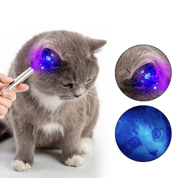 Lampe de Wood U.V détection teigne du chat UVEYKAT™ jouet interactif chat, Jouet pointeur laser à 