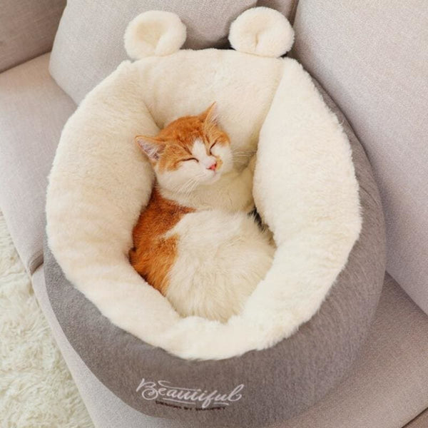 Cat Basket Design