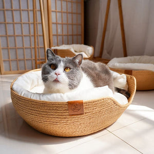 Lit suspendu à ventouses pour chat - Hamac-Fenêtre-Chat™ – Pour toi Mon chat