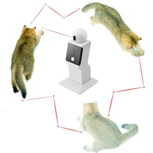 Jouet laser pour chats