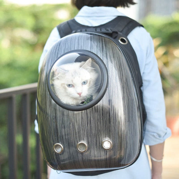 YUOCT Sac à dos de transport pour chat – Sac à dos à bulles pour  transporter les chats et sac à dos transparent avec capsule (noir)