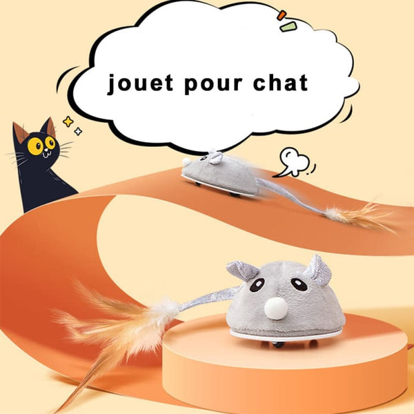 Souris interactive USB pour chat MAOWSKAT™ jouet interactif chat, souris, jouets, jouets 