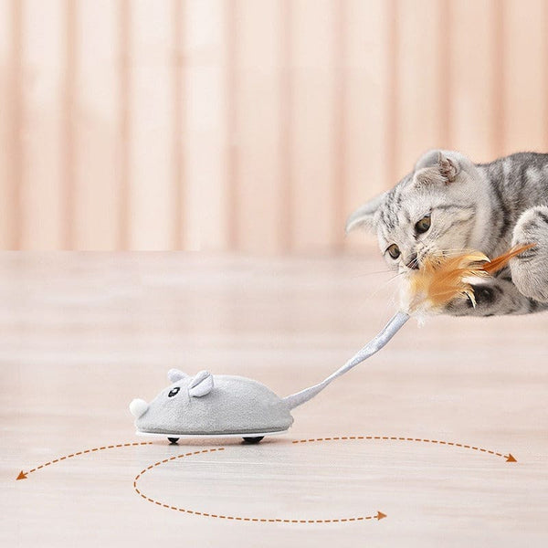 GiGwi Jouet interactif pour chat, souris mobile automatique pour chat, souris  électronique avec queue en fourrure, jouets automatiques pour chat grinçant  pour exercice intérieur/extérieur (marron-oreille) 