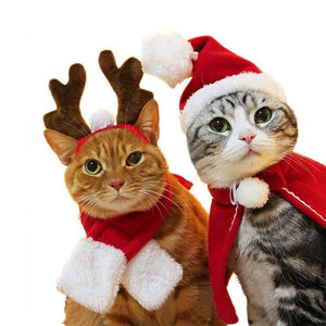 Vêtements Chat Bonnet De Noël CHRISTKAT™ Mon chat, vêtements chat