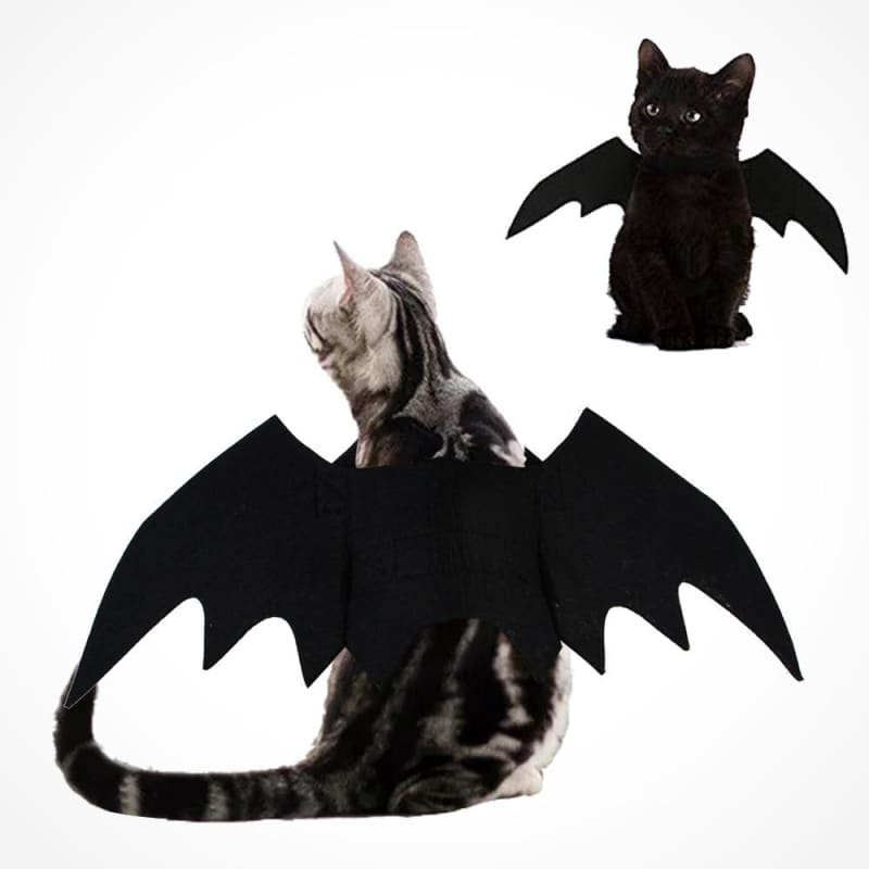 Bat Cat Clothes | Orderkeen