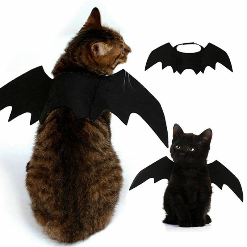 Bat Cat Clothes | Orderkeen