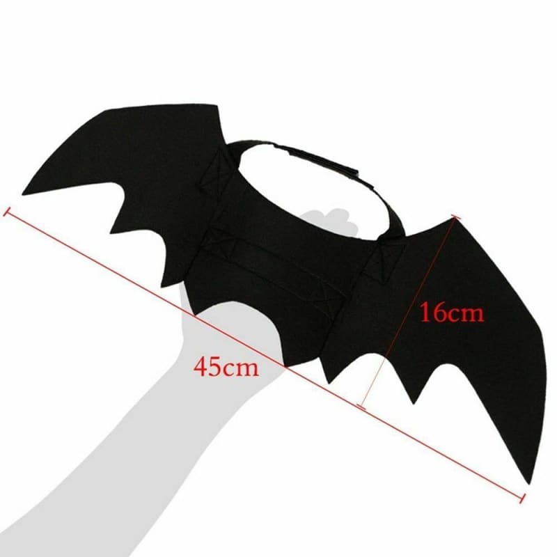 Bat Cat Clothes | Orderkeen